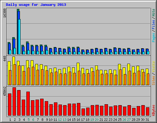 Daily usage for January 2013