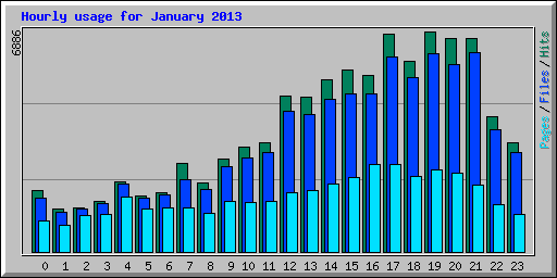 Hourly usage for January 2013