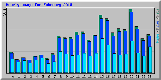 Hourly usage for February 2013