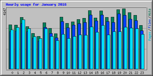 Hourly usage for January 2016