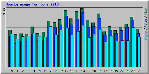 Hourly usage for June 2016