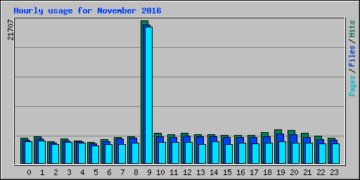 Hourly usage for November 2016