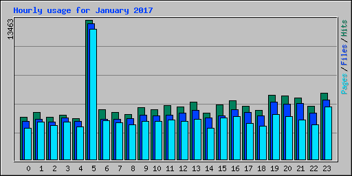Hourly usage for January 2017