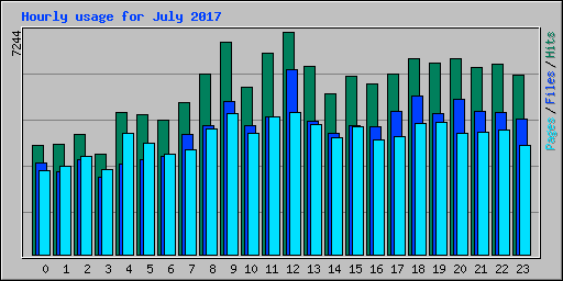 Hourly usage for July 2017