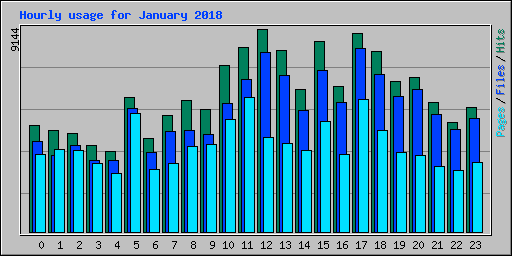 Hourly usage for January 2018