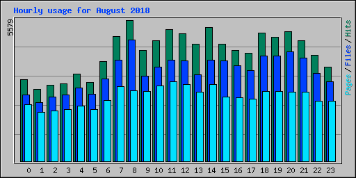 Hourly usage for August 2018