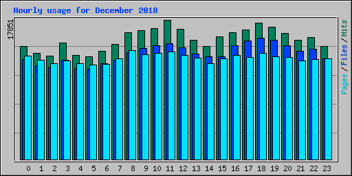 Hourly usage for December 2018