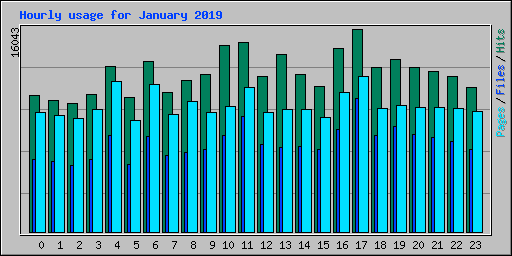 Hourly usage for January 2019