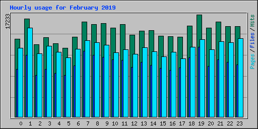 Hourly usage for February 2019