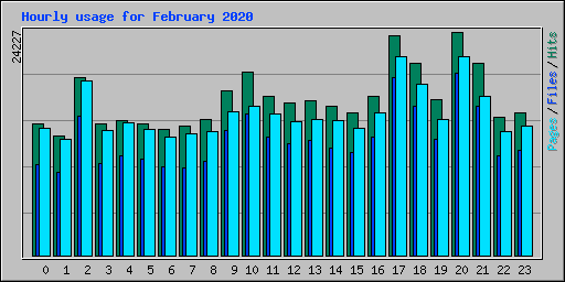 Hourly usage for February 2020